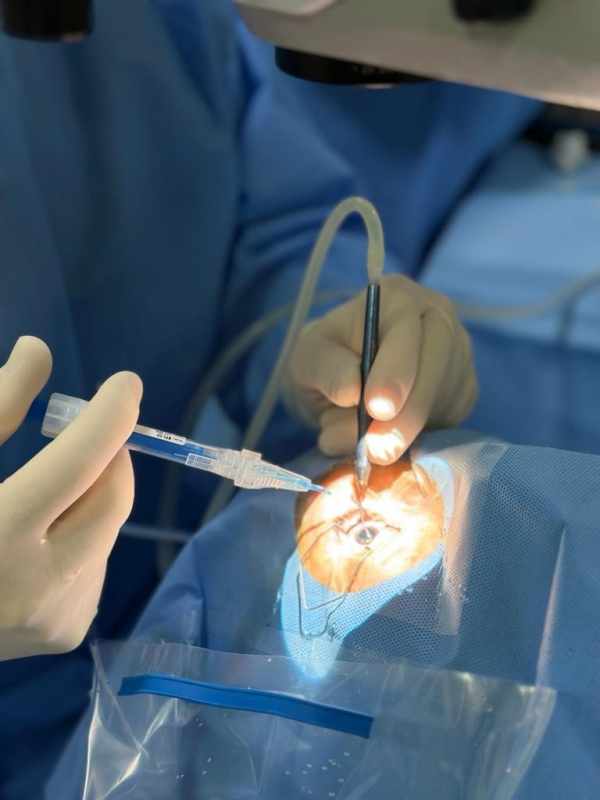 Cirurgia Catarata Clínica Rio Pequeno	S - Cirurgia de Catarata com Implante de Lente