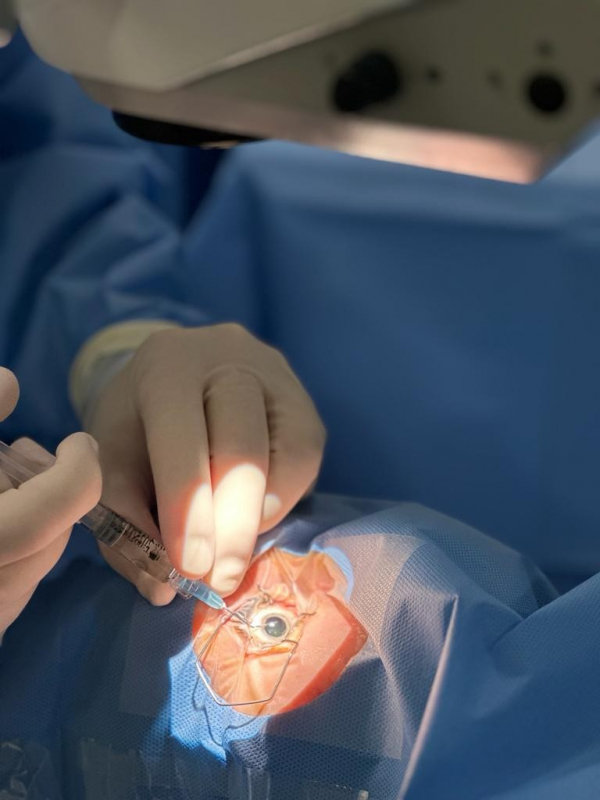 Endereço de Oftalmologista para Tratamento de Catarata Zona Oeste - Oftalmologista Especialista em Cirurgia de Catarata